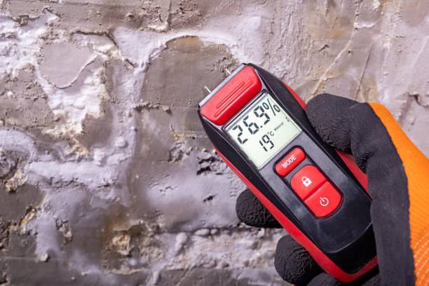 Best Mold Remediation for Schools in West, TX